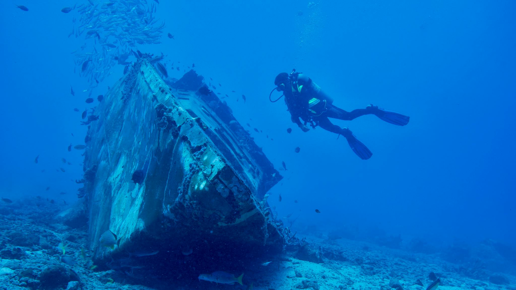 A scuba diver examines a shipwreck surrounded by marine life in the Caribbean sea, showcasing vibrant underwater exploration.