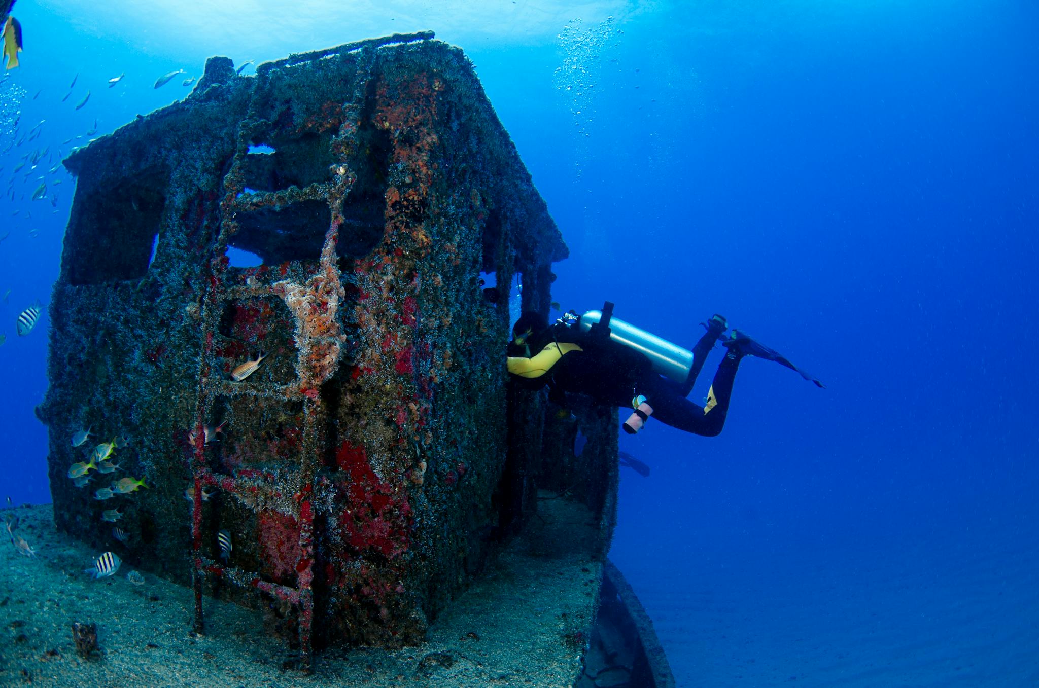 Diver exploring a scenic underwater shipwreck, vibrant marine life visible.