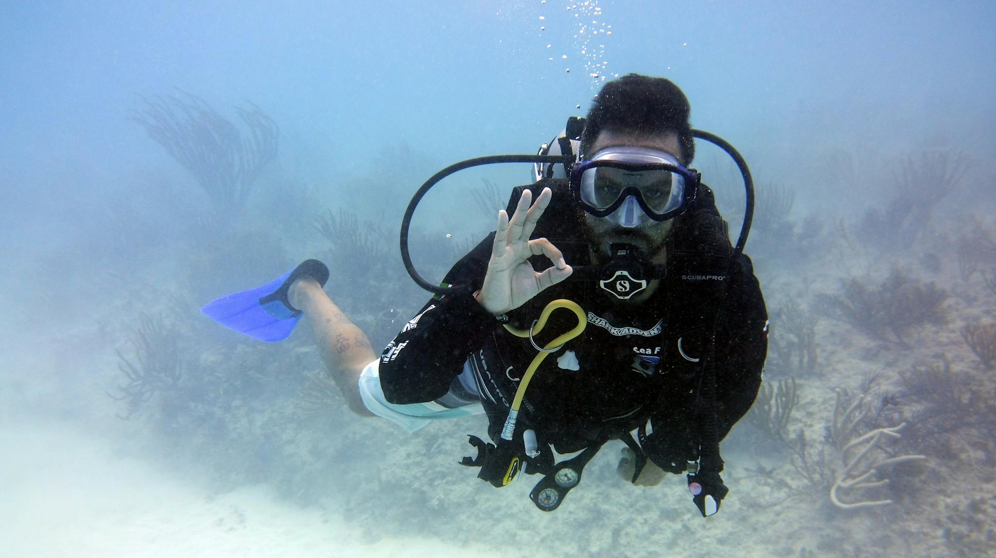Scuba diver underwater making an okay sign while exploring the seabed with corals.