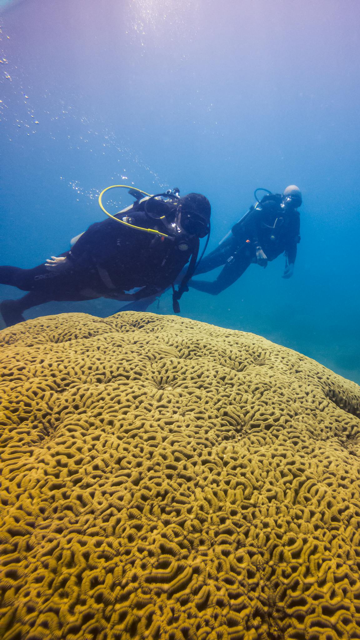 Scuba divers exploring a vibrant coral reef in Santa Marta, Colombia, showcasing marine biodiversity.